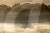 Misty sunrise Richmond Park London