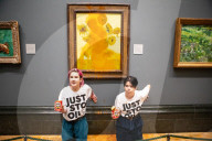 Climate activists splattered what appears to be tomato soup on "Sunflowers" by Vincent van Gogh