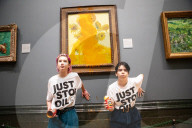 Climate activists splattered what appears to be tomato soup on "Sunflowers" by Vincent van Gogh