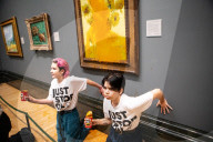 Climate activists splattered what appears to be tomato soup on "Sunflowers" by Vincent van Gogh