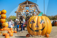 FEATURE - Vorbereitungen für Halloween in den USA