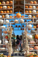 FEATURE - Vorbereitungen für Halloween in den USA