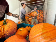 FEATURE - Vorbereitungen für Halloween in den USA