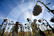 NEWS - Ukraine-Krieg: Mörsertruppe in der Region Saporischschja