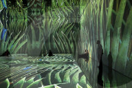 'I never want to leave': the immersive exhibition where art breaks free