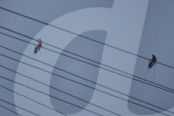 Just Stop Oil protest at Queen Elizabeth Bridge over The River Thames in Dartford.