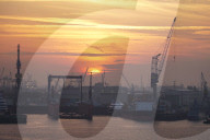 NEWS - Ein Containerfrachter der Cosco Shipping am Tollerort Anleger im Hafen Hamburg