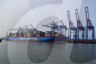 NEWS - Ein Containerfrachter der Cosco Shipping am Tollerort Anleger im Hafen Hamburg