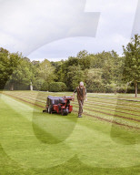 With ever hotter UK summers it’s time to rethink the future of grass