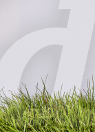 With ever hotter UK summers it’s time to rethink the future of grass