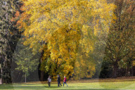 Warm weather with possible heavy rain for England