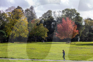 Warm weather with possible heavy rain for England