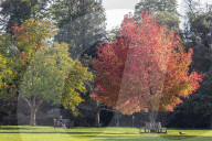 Warm weather with possible heavy rain for England