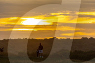 Autumn mist at sunrise in Richmond Park south-west London