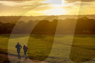 Autumn mist at sunrise in Richmond Park south-west London