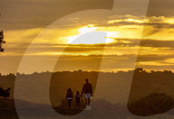 Autumn mist at sunrise in Richmond Park south-west London