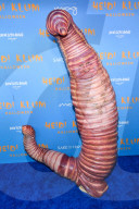 PEOPLE - Verkleidete Promis an Heidi Klums Annual Halloween Party in NYC