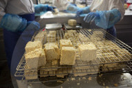 'It's not woke': Braverman dig leaves bitter taste in Tory tofu capital