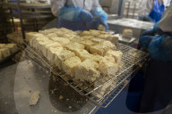 'It's not woke': Braverman dig leaves bitter taste in Tory tofu capital