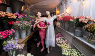 Ballet stars Fumi Kaneko and Ivan Putrov celebrate World Ballet Day at Bloomsbury Flowers
