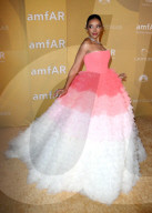 PEOPLE - AMFAR-Gala in Los Angeles