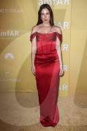 PEOPLE - AMFAR-Gala in Los Angeles