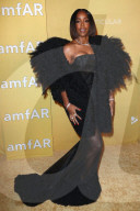 PEOPLE - AMFAR-Gala in Los Angeles