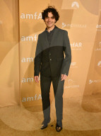 PEOPLE - AMFAR-Gala in Los Angeles