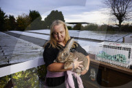 Giant rabbits 'bred for meat' looking for new homes after Northumberland rescue