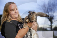 Giant rabbits 'bred for meat' looking for new homes after Northumberland rescue
