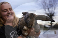 Giant rabbits 'bred for meat' looking for new homes after Northumberland rescue