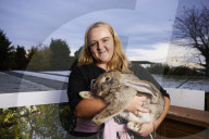 Giant rabbits 'bred for meat' looking for new homes after Northumberland rescue