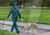 Wind, rain and flooding forcast for London
