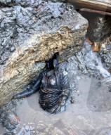 24 Ancient Bronze Statues Found Underwater - Italy