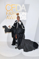 PEOPLE - Janelle Monae erscheint mit Dackel-Handtasche an den CFDA-Awards