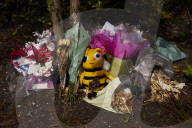 The Glade of Light memorial to the victims of the Manchester Arena attack - in pictures