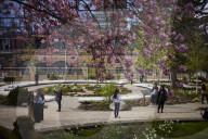 The Glade of Light memorial to the victims of the Manchester Arena attack - in pictures