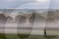 Misty sunrise Richmond Park London 