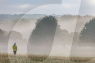Misty sunrise Richmond Park London 