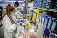 New malaria vaccine comes a step closer as experts say it’s ‘the best yet’.
