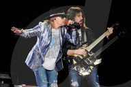 Guns and roses