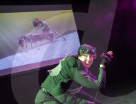 Swarm review - a scathing appraisal of Britain’s political parasites