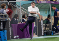 FUSSBALL-WM Katar - Serbiens Cheftrainer Dragan Stojkovic lässt seinen Emotionen freien Lauf