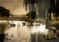 Start of Meteorological winter, London, UK