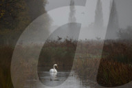 Start of Meteorological winter, London, UK