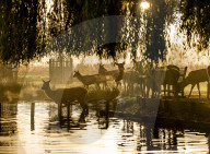 Start of Meteorological winter, London, UK