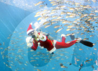 FEATURE - Santa-Taucher schwimmt mit einem Schwarm von Fischen und Delfinen im Hakkeijima Sea Paradise Aquarium
