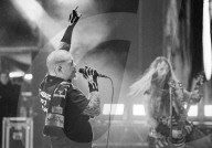 Pantera
