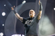 Pantera