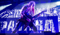 Pantera